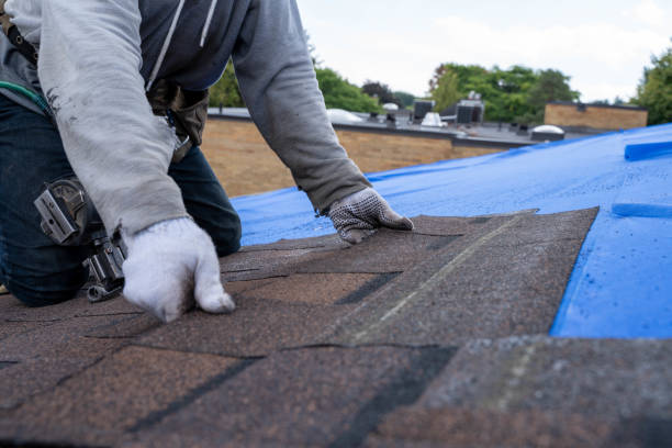 Best Gutter Installation and Roofing  in Troy, MI