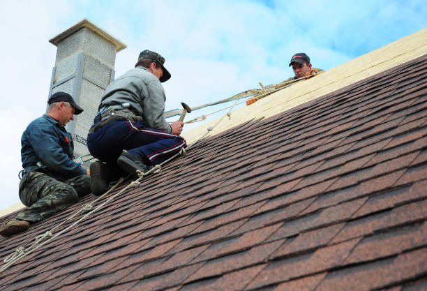 Best Shingle Roofing Installation  in Troy, MI