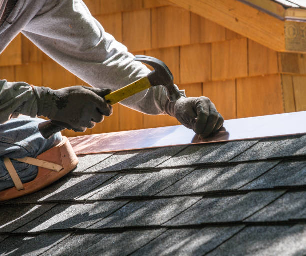 Best Roof Gutter Cleaning  in Troy, MI